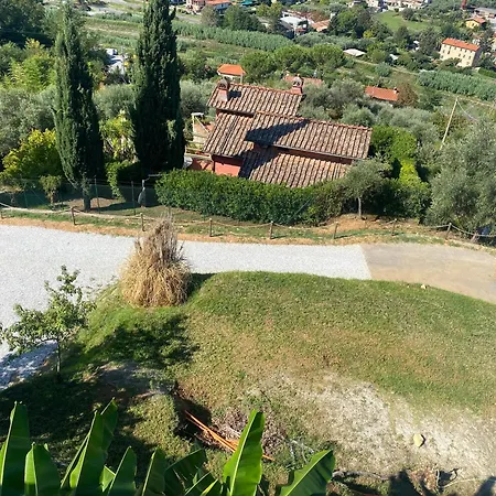 Patrizia 4* ピエトラサンタ