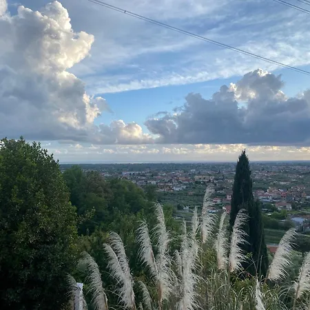 Patrizia ピエトラサンタ