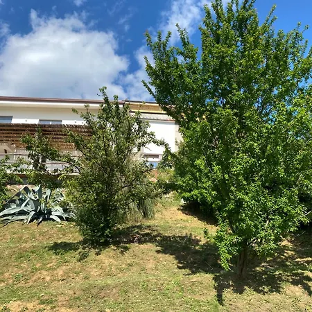 Patrizia ゲストハウス